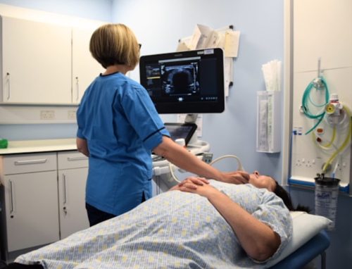 Person performing an Ultrasound